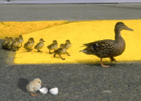 Ŭ���ϸ� �׸��� Ȯ���ؼ� ���� �� �ֽ��ϴ�.